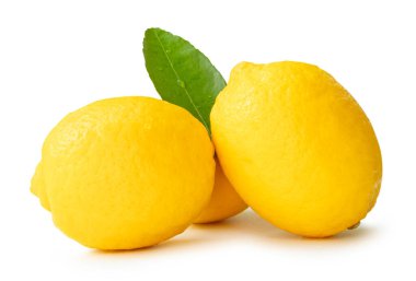 Yeşil limon yaprağıyla olgun sarı limon meyveleri ve yığın halinde damlacıklar kesme yolu ile beyaz arka planda izole edilir.