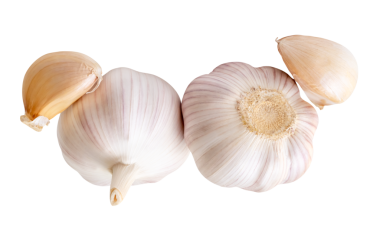 İki sarımsak soğanı ve iki sarımsaklı karanfil üst görünümü png dosya biçiminde kırpma yolu ile izole edilir.