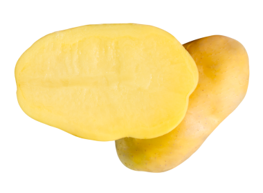 Yarısı yığın halinde ham patatesler png dosya biçiminde kırpma yolu ile izole edilir.