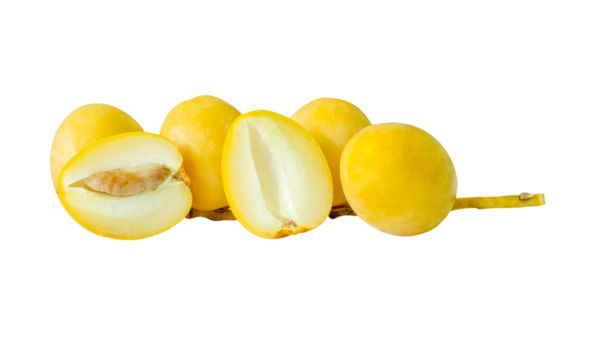 Png dosya biçiminde kırpma yolu ile izole edilmiş taze olgun sarı Barhi hurma palmiye meyveleri yığını halinde küçük demetler halinde. Müslümanlar için Ramazan ayında iftar yemeği kavramı