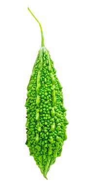 One green bitter gourd or bitter melon is isolated on white background with clipping path.
