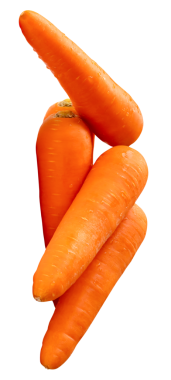 Yığının içindeki beş taze turuncu havuç kökü yan görünümü png dosya biçiminde kırpma yolu ile izole edilmiştir.