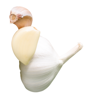 Yığınla karanfil içeren sarımsak ampulü png dosya biçiminde kırpma yolu ile izole edilmiştir.