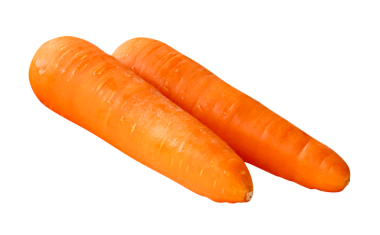 Yığındaki iki taze turuncu havuç kökünün yan görünümü png dosya biçiminde kırpma yolu ile izole edilmiştir.