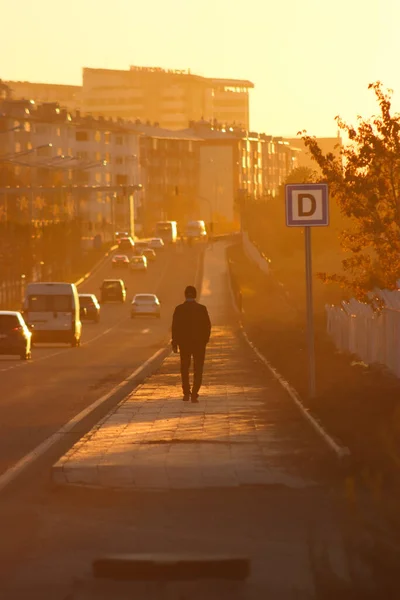 Sunset 'te arkasını dönmüş tek başına yürüyen bir adam. Erzurum, Türkiye.