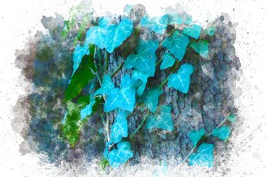 Suluboya resim mavi yapraklar. Yüksek kaliteli illüstrasyon