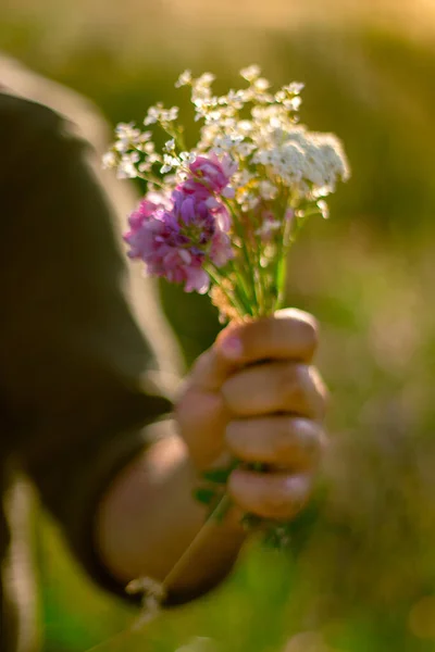 A person is holding a bunch of flowers in their hand.unclear effect.love concept. High quality photo