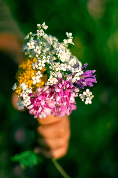 A person is holding a bunch of flowers in their hand concept .selective focus. High quality photo