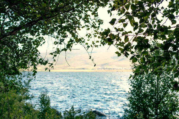 Вид Воду Берега Озера Копіювання Простору Фону Високоякісна Фотографія — стокове фото