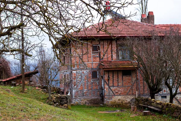 黒海地域の高い森林景観を眺めながら撮影されたアナトリア人トルコ人の家の写真 高品質の写真 — ストック写真