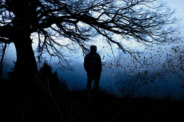 Эффект Живописи Маслом Туманное Голубое Небо Силуэтом Сикамурского Дерева Вид — стоковое фото