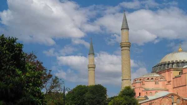 Hagia Sophia Des Arbres Belle Mosquée Hagia Sophia Sous Ciel — Photo