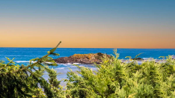 夕日の緑の松の木の後ろに青い空と海の景色 書き込みエリア 高品質の写真 — ストック写真