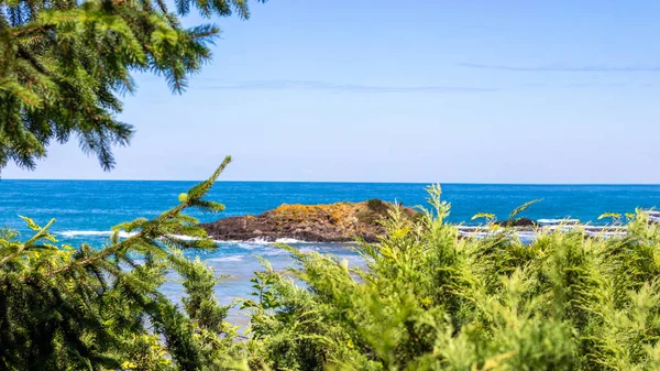 Blue Sky Sea View Green Pine Tree Islet Rock Background — Stock Photo, Image