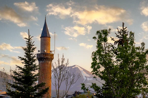 Erzurum Saltukid Période Carrelage Minaret Montagne Enneigée Palandoken Arrière Plan — Photo