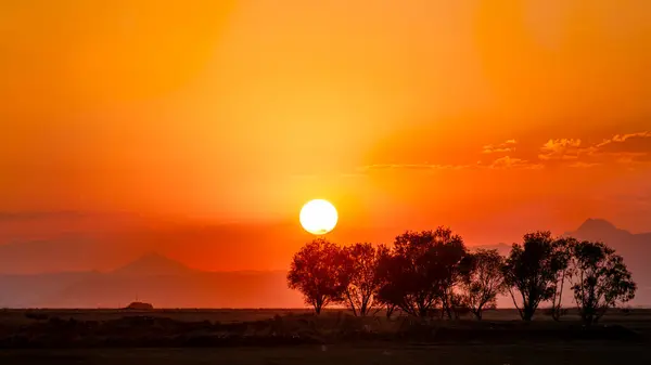 Anatolian Sunset Com Árvore Montanha Silhueta Sol Com Árvore Silhueta — Fotografia de Stock