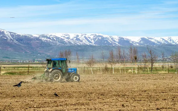 Çiftçilik: güçlü bir traktör toprağı sürükler, toprağı uzak tepelerdeki uzun süren kar örtüsüne karşı yeni bir büyüme döngüsü için hazırlar. Yüksek kalite fotoğraf