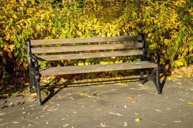 Sonbaharda boş park bankı, yalnızlığı, yansımayı ve zamanın akışını simgeliyor..