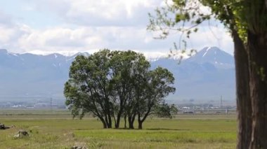 Dağların manzarası