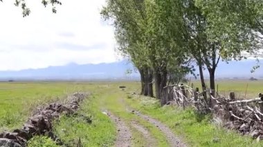 bir çit ile kırsal manzara