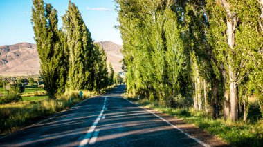 Erzurum 'daki manzara yolu, hedeflere giden yolculuğu ve doğa yolunun güzelliğini, doğa geçmişini sembolize ediyor