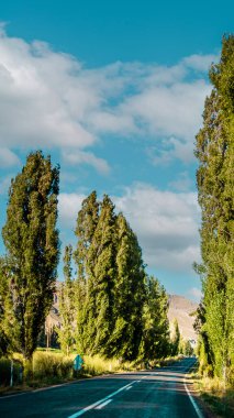 Erzurum 'daki manzara yolu, hedeflere giden yolculuğu ve doğa yolunun güzelliğini, doğanın dikey arka planını simgeliyor.