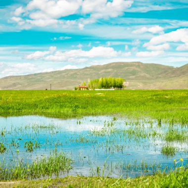 Türkiye 'nin Erzurum Ovası' nda sakin su yansımaları, yeşil alanlar ve parlak bir gökyüzünün yer aldığı huzurlu bir bahar manzarası. Doğa ya da Dünya Günü görselleri için mükemmel.