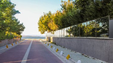 Altın güneşin altında canlı yeşilliklerle çevrili sakin bir yol. İlerleme, motivasyon ve başarı yolunda başarı arayışı temalarını çağrıştırıyor.. 