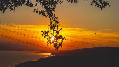 A striking sunset scene with silhouetted tree branches, golden hues, and serene reflections over a lake, symbolizing beauty, calm, and the passage of time. clipart