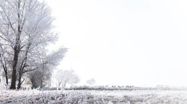 Türkiye 'nin Erzurum kentinde buzla kaplı ağaçlarla çevrili huzurlu bir kış manzarası, sakin ve gizemli bir doğal zemin sunuyor.. 