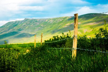 Türkiye 'nin Erzurum kentindeki yemyeşil çitler boyunca uzanan dikenli tel örgü, bölünmeyi, korumayı ve kırsal izolasyonun sessiz gerilimini sembolize ediyor..
