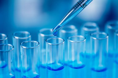 Test tubes with blue liquid water samples and pipette over blue background. Pipette dropping sample into test tube. Laboratory glassware, science laboratory research concept.
