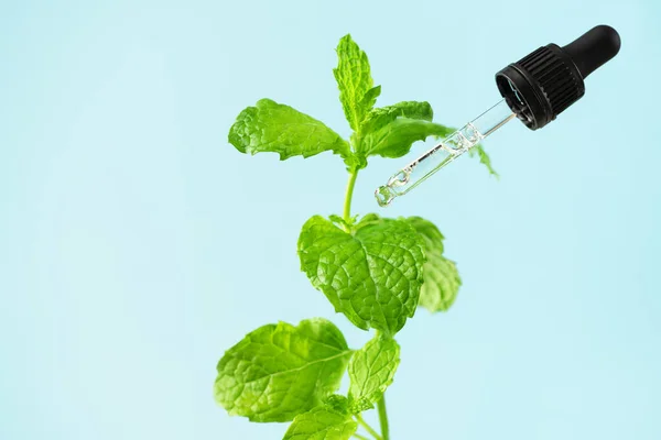 Dropper with mint herbal extract and mint leaf over blue background. Herbal medicine and cosmetic concept.