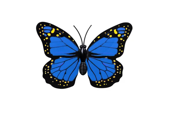 Голубая Бабочка Изолирована Белом Фоне Сверху Синяя Бабочка Желтыми Пятнами — стоковое фото