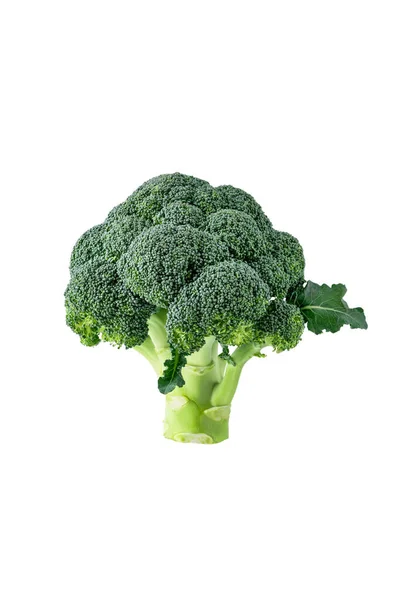 Şeffaf Arkaplanda Taze Brokoli Izole Edildi Tasarım Için Tam Çiğ — Stok fotoğraf