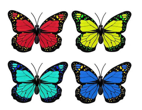 Коллекция Красочной Бабочки Выделена Белом Фоне Сверху Насекомые Бабочки Элемент — стоковое фото