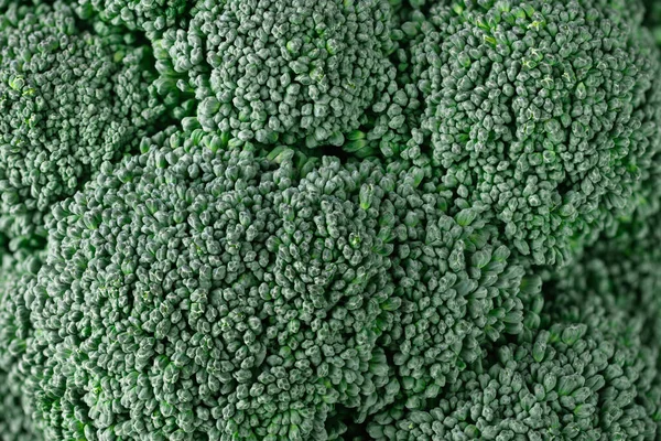 新鮮な野菜ブロッコリーのクローズアップ マクロブロッコリーの頭 — ストック写真