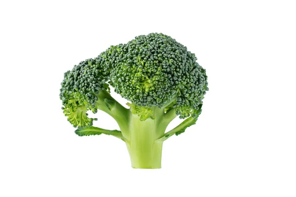 Brokoli Segar Diisolasi Dengan Latar Belakang Putih Potongan Kubis Brokoli — Stok Foto