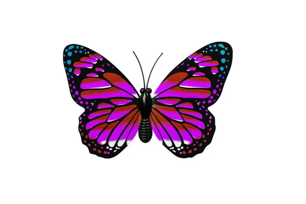 Multi colored butterfly isolated on white background top view. Red and purple butterfly with blue spots for design.
