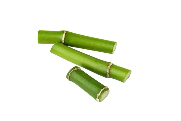 Bamboo Shoot Isolated White Background Green Bamboo Stems Design — Stock Photo, Image