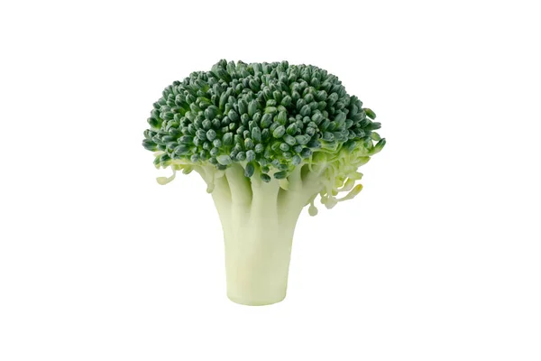Beyaz Arka Planda Izole Edilmiş Taze Brokoli Brokoli Lahana Dilimi — Stok fotoğraf