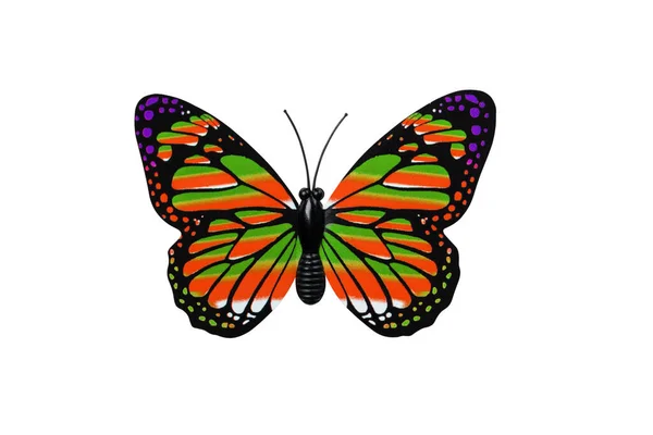 Beyaz Arka Plan Görünümünde Çok Renkli Kelebek Mor Noktalı Kırmızı — Stok fotoğraf