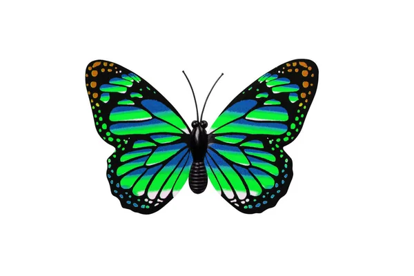 Green and blue butterfly isolated on white background top view. Multi colored butterfly as an element for design.