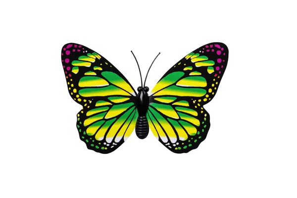 Желтая Бабочка Изолирована Белом Фоне Сверху Желтая Бабочка Зелеными Красными — стоковое фото
