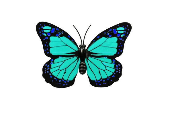 Бирюзовая Бабочка Изолирована Белом Фоне Сверху Bfly Элемент Дизайна — стоковое фото