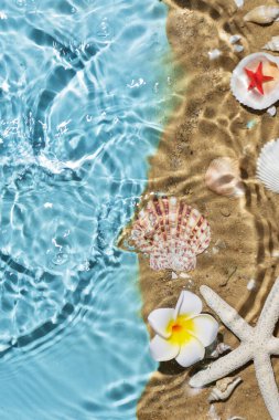 Deniz suyu, kum ve deniz kabukları. Yaz plajı. Yaz arkaplanı.