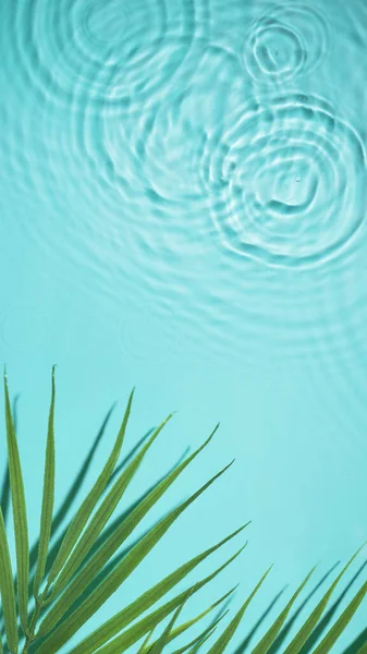 Vodní Pozadí Palmovým Listem Horní Pohled Tropické Letní Zázemí Pro — Stock fotografie