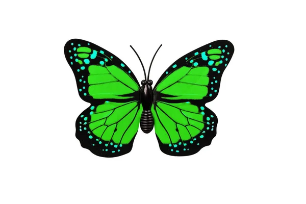 Zielony Motyl Izolowany Białym Tle Widok Góry Motyl Jako Element — Zdjęcie stockowe
