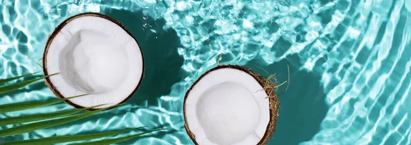 여름에는 속에서 튀기는 코코넛을 배경으로 여름의 창의적 디자인 코코넛 화장품 — 스톡 사진