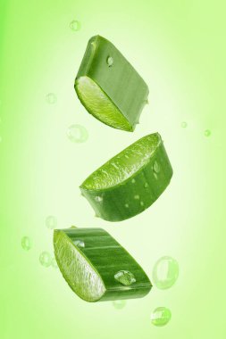 Yeşil arka planda aloe vera jel damlalarıyla taze Aloe vera dilimi. Bitkisel ilaç veya cilt bakımı için Aloe vera yaprağı dilimleri.